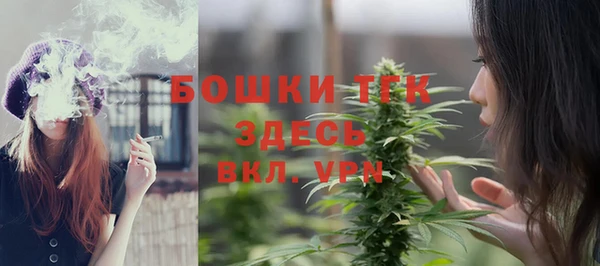 крисы Богородск