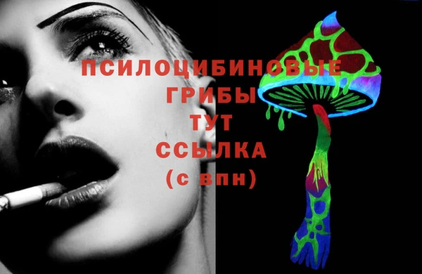 спиды Богданович