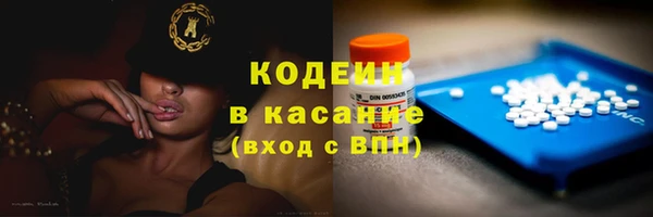 спиды Богданович