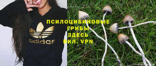 скорость Богородицк